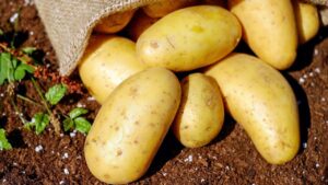 More Than Just A Side Dish: The Surprising Health Benefits Of Potatoes